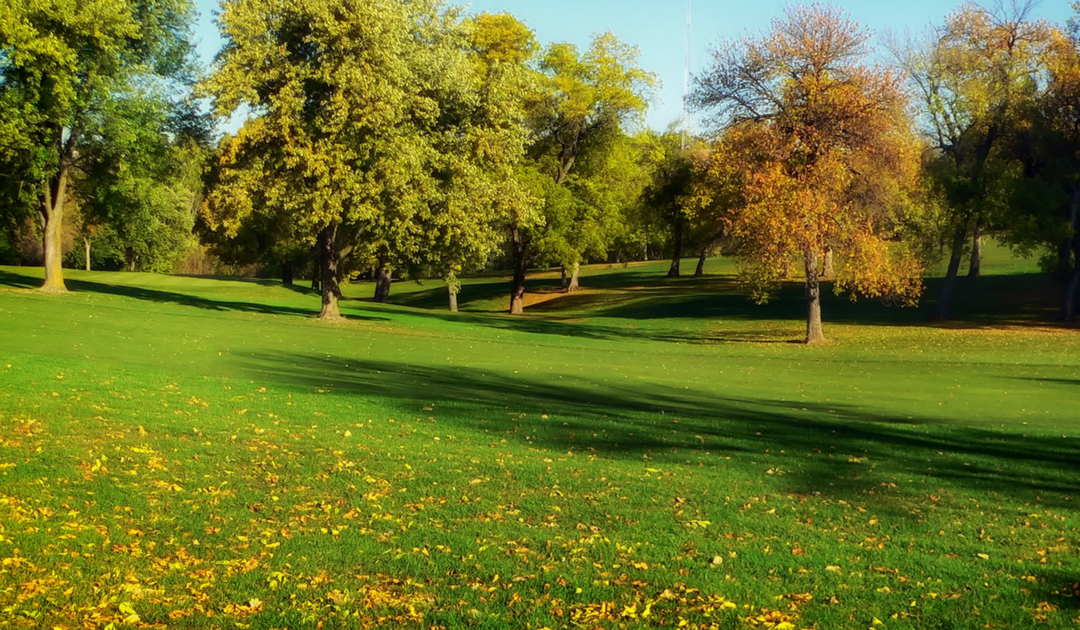 Mature Trees, Modern Homes in Charleswood